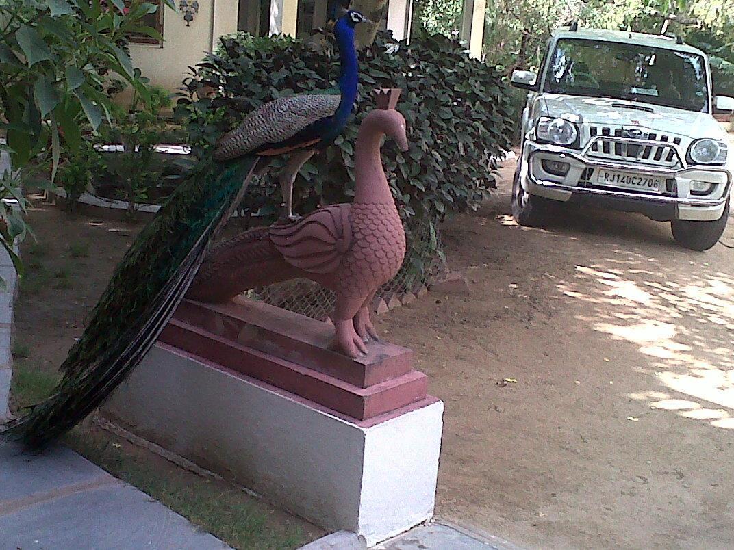 Shahar Palace Jaipur Ngoại thất bức ảnh